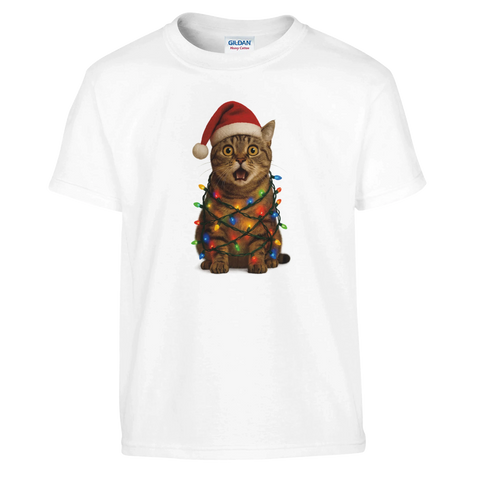 b0399e98-b1c3-42d9-96d9-4ff2f5d2818a