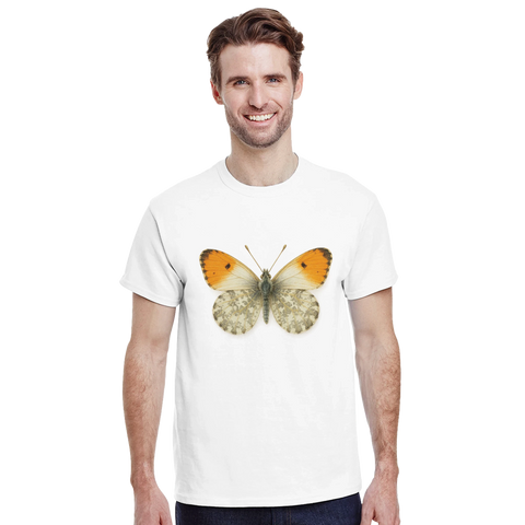 bde8f049-2f51-4d70-b6d8-b1e132b8b8bd