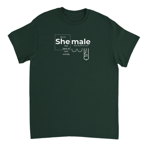 013a641b-cb08-4a7e-ad69-f25608650516