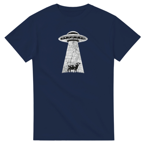 12e69c2e-7f40-44c5-adbc-2ead1b5b640b