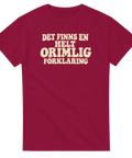 T-shirt med tryck och texten ”Det finns en helt orimlig förklaring” – produktbild från Shirty.