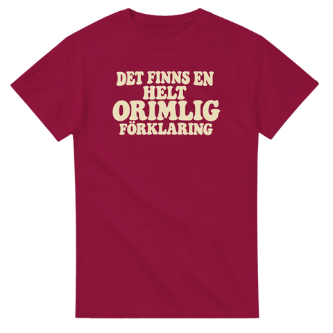 T-shirt med tryck och texten ”Det finns en helt orimlig förklaring” – produktbild från Shirty.