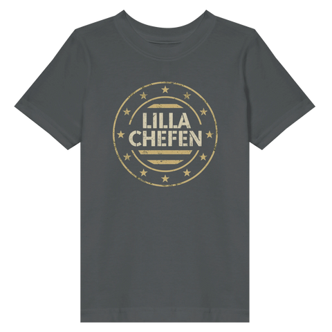 Grå t-shirt för småbarn med ett grafiskt statement-tryck i sliten stil