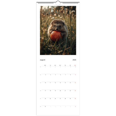 Igelkott med röd frukt i gräs, Väggkalender 2026 "Tykna Djur", augusti månad.