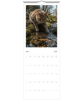 Gråbrunrandig katt med gröna ögon i bäck med mossa, Väggkalender 2026.