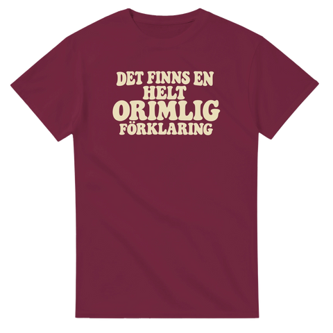 T-shirt med tryck och texten ”Det finns en helt orimlig förklaring” – produktbild från Shirty.