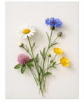 Närbild på illustration av klassiska svenska sommarblommor med klara färger och minimalistisk komposition.