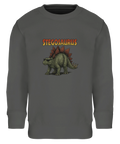 Stegosaurus med solglasögon och "STEGOSAURUS" text på mörkgrå barntröja.