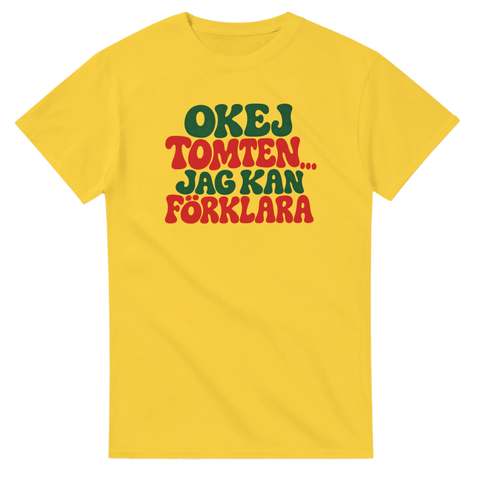 T-shirt med texten Okej tomten, jag kan förklara i rött och grönt