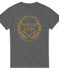 Guldtryck med texten Molon Labe och grekisk symbolik på grå t-shirt