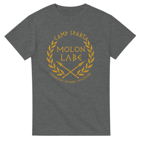 Guldtryck med texten Molon Labe och grekisk symbolik på grå t-shirt