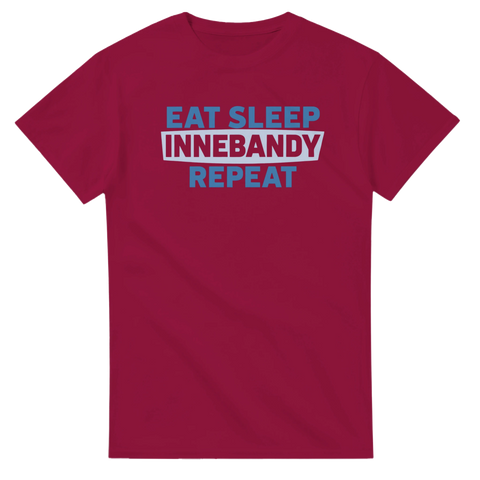 Vinröd t-shirt med citat om innebandy i modern typografi