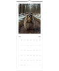 Tvättbjörn med bröd i skog på Väggkalender 2026, mars.