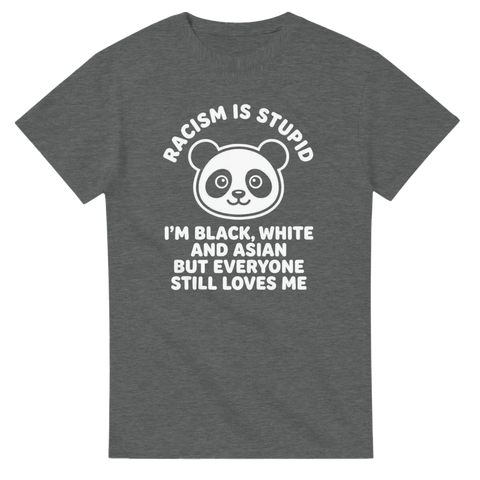 Grafiskt pandamotiv med budskap om mångfald på mörkgrå t-shirt