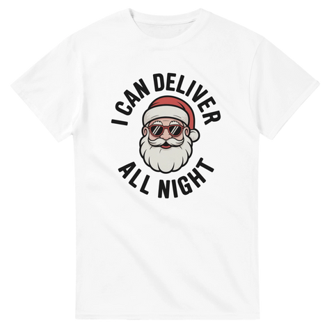 Vintage-inspirerat tryck med jultomte och texten I Can Deliver All Night