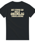 T-shirt med tryck och texten ”Det finns en helt orimlig förklaring” – produktbild från Shirty.