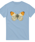 ddd93713-dfce-4cc0-9282-d55e1acde298