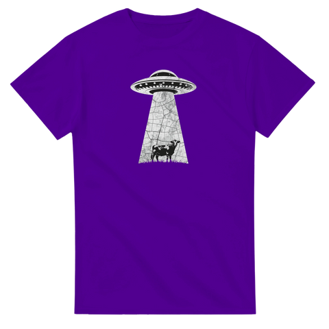 e1fa38b0-9c0b-4429-b268-48d9e9cfd628