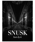 Svartvit poster med motiv av en pampig innergård i Paris med valv, lyktor och texten SNUSK fast dyrt i vitt.