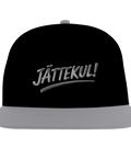 Snapback-keps med broderad ironisk text och grå kontrastskärm