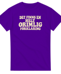 T-shirt med tryck och texten ”Det finns en helt orimlig förklaring” – produktbild från Shirty.