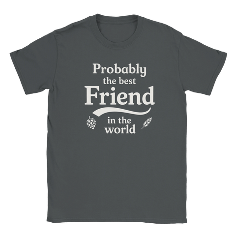 Snygg t-shirt i grått för din bästa vän eller kompis